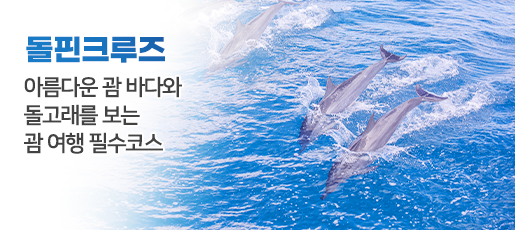 돌핀크루즈