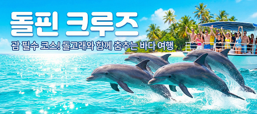 돌핀크루즈