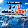 괌 미드썸머 돌핀크루즈(+패러세일링)
