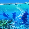 괌 두번 체험 스쿠버다이빙