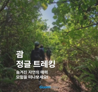 괌 정글 트레킹으로 만나는 신비한 담수동굴, 완벽한 모험 가이드 