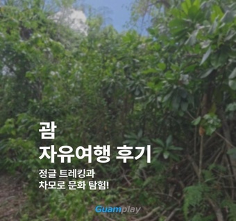 괌 정글 트레킹 투어 완벽 가이드: 차모로 문화부터 담수동굴까지