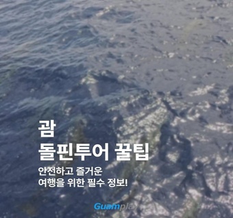 괌 돌핀투어 완벽 가이드: 시간대별 운영부터 필수 준비물까지