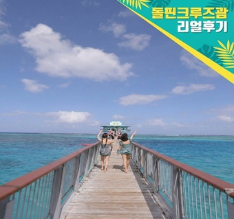 괌 돌핀크루즈 완벽 가이드: 돌고래 관찰부터 스노클링, 점심까지 한번에!