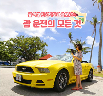 괌 운전의 모든 것