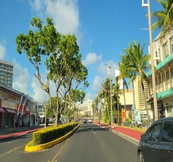 괌 트롤리버스 노선 완벽 가이드: 렌터카 없이도 자유로운 괌 여행법
