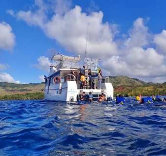 도란도란님의 괌 돌핀크루즈 리얼후기 