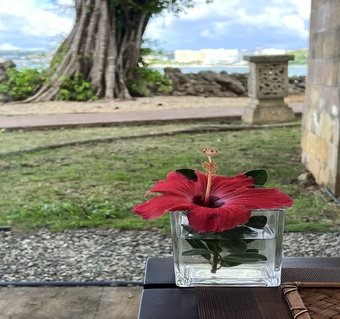 괌 임산부 마사지, 예비맘을 위한 안전한 스파 가이드