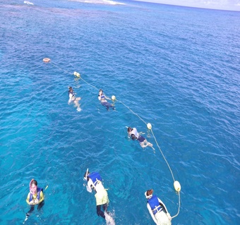 괌 돌핀크루즈 완벽 가이드: 스노클링과 참치회가 포함된 프리미엄 투어 체험기