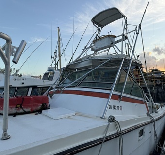 괌 낚시투어 완벽 가이드: 트롤링부터 돌고래 관찰까지 한 번에!