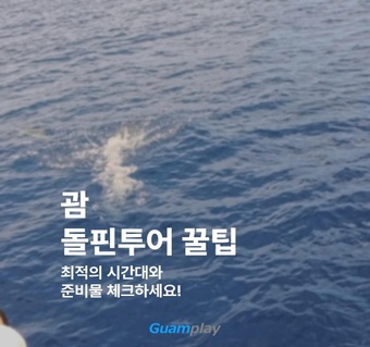 괌 돌핀투어 완벽 가이드 | 최적 시간대부터 준비물까지 한 번에!