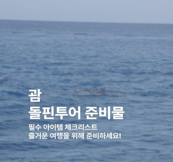 괌 돌핀투어 필수 준비물 7가지! 수영복부터 자외선차단제까지 완벽 가이드 