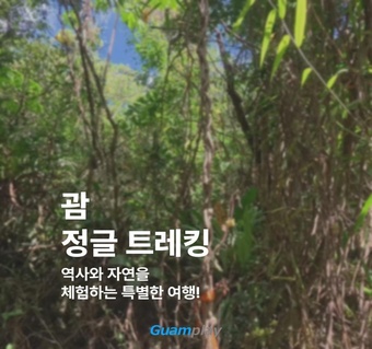 괌 정글 트레킹으로 만나는 숨겨진 자연의 보물