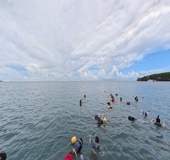 괌 돌핀크루즈와 에메랄드밸리 패키지, 개별 예약보다 얼마나 저렴할까?