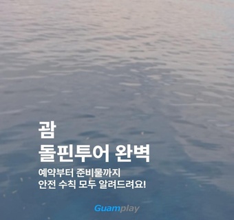 괌 돌핀투어 완벽 가이드: 예약부터 안전수칙까지