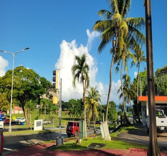 괌 여행 ESTA vs 비자면제, 입국 심사 시간 단축 완벽 가이드