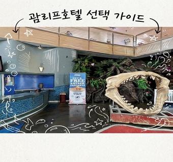 괌리프호텔 비치타워 vs 인피니티타워 선택 가이드: 가족 여행 최적화 팁