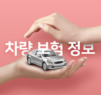 차량 보험 정보 