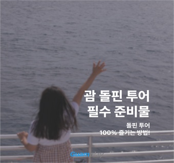 괌 돌핀투어 준비물 완벽 가이드! 놓치면 후회하는 필수템 총정리 