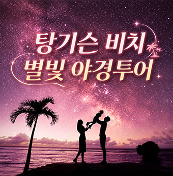 탕기슨 비치 별빛 야경투어