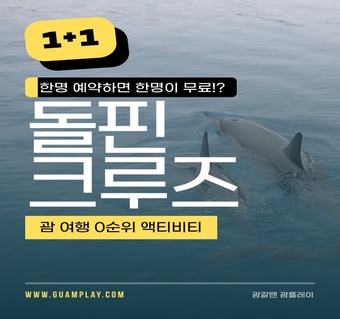 괌 돌핀 크루즈가 여행 필수 코스인 이유와 완벽 가이드