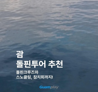 괌 돌핀크루즈 완벽 가이드: 야생 돌고래와 함께하는 특별한 바다 여행 