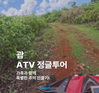 괌 ATV 정글투어 완벽 가이드: 아이와 함께 즐기는 안전한 모험