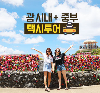 괌 시내+중부 택시투어 [즉시확정]