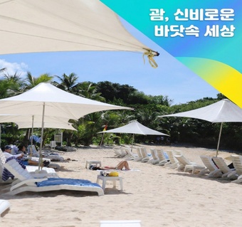 괌니코호텔 건 비치 스노클링, 투어 없이도 만나는 열대 바다의 신비