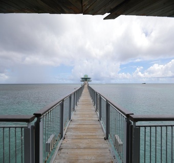 괌 돌핀크루즈 완전 가이드: 돌고래 관찰부터 스노클링까지 한번에!