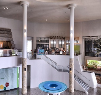 괌 니코호텔 완벽 가이드: 전 객실 오션뷰 보장하는 최고의 오션프론트 호텔